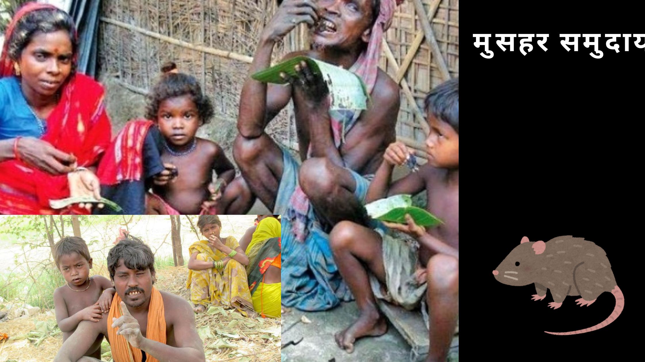 The Untold Story of India’s Rat-Eating Caste